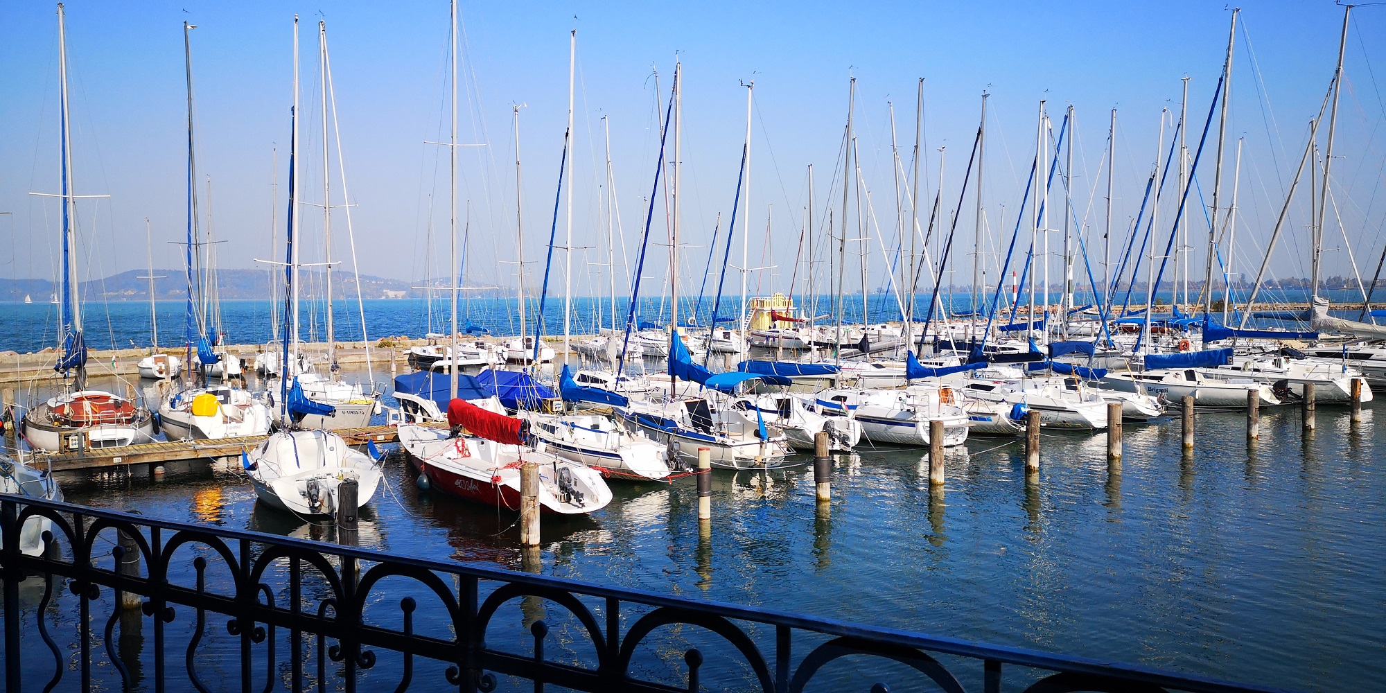 Tóth Balázs: „Égetően szükség lenne új vitorláskikötőkre a Balatonon”