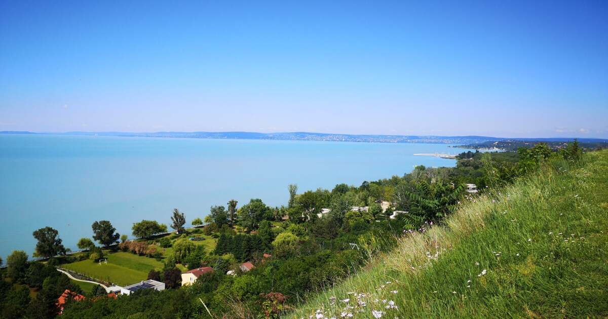 The Balatonalmad region is an exceptional place, where initial migration is typical