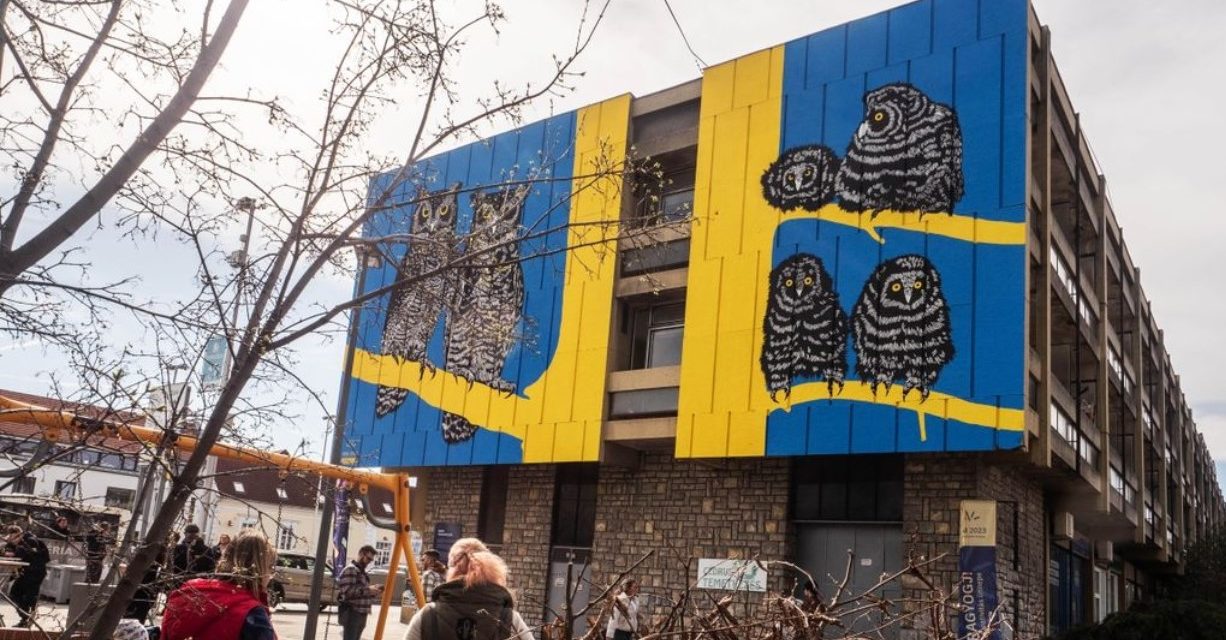 Hatalmas festett baglyok színesítik a veszprémi épületet