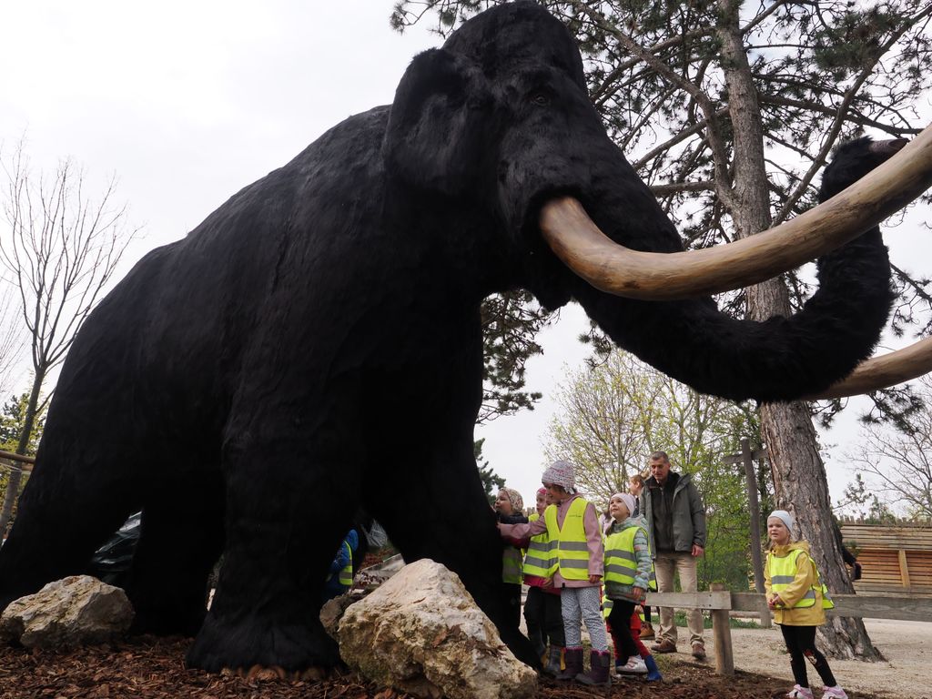 6,5 méter hosszú a Veszprémi Állatkert monumentális új lakója