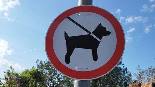 „Kutyával behajtani tilos!&#8221; – fura KRESZ táblák kerültek ki a balatonszepezdi utcákba