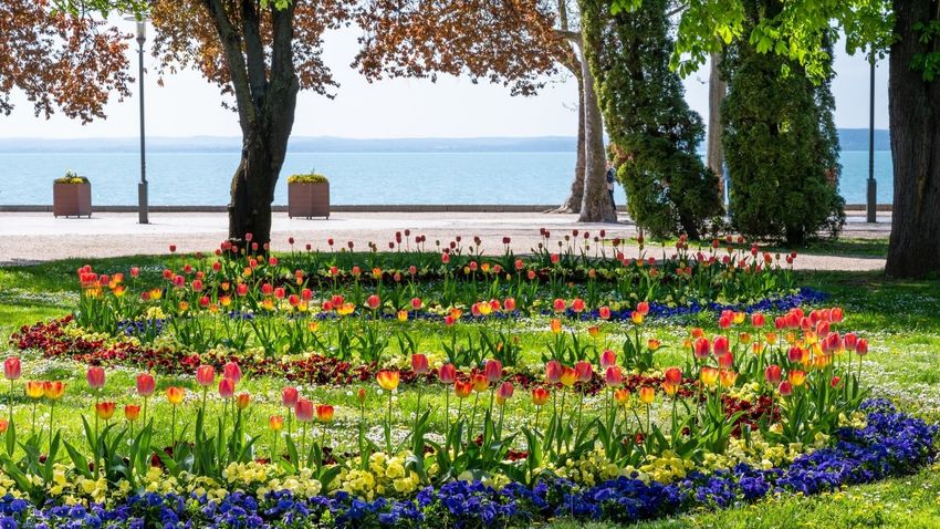 Ezer színben és illatban pompázik a város: virágba borult Balatonfüred