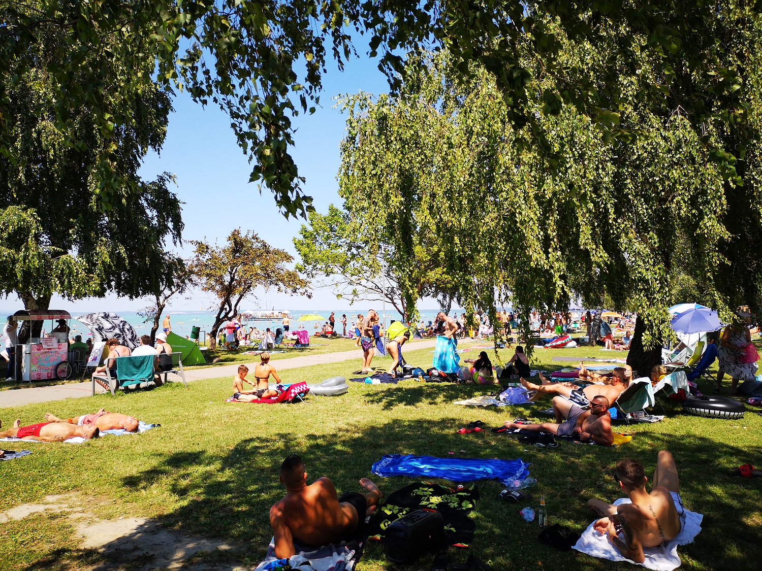 29°C-os a Balaton –  a vízi élővilágra is káros a kánikula