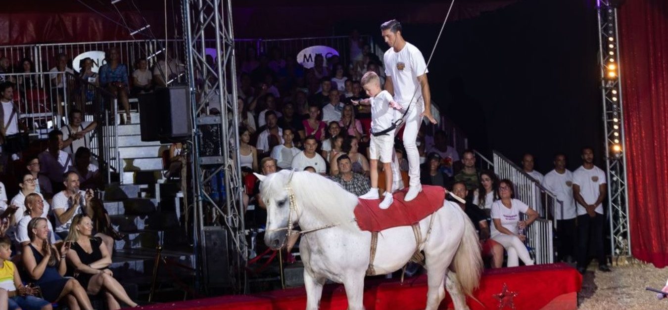 Fehérbe öltöztek a nézők is a Cirkuszok Éjszakáján Balatonlellén