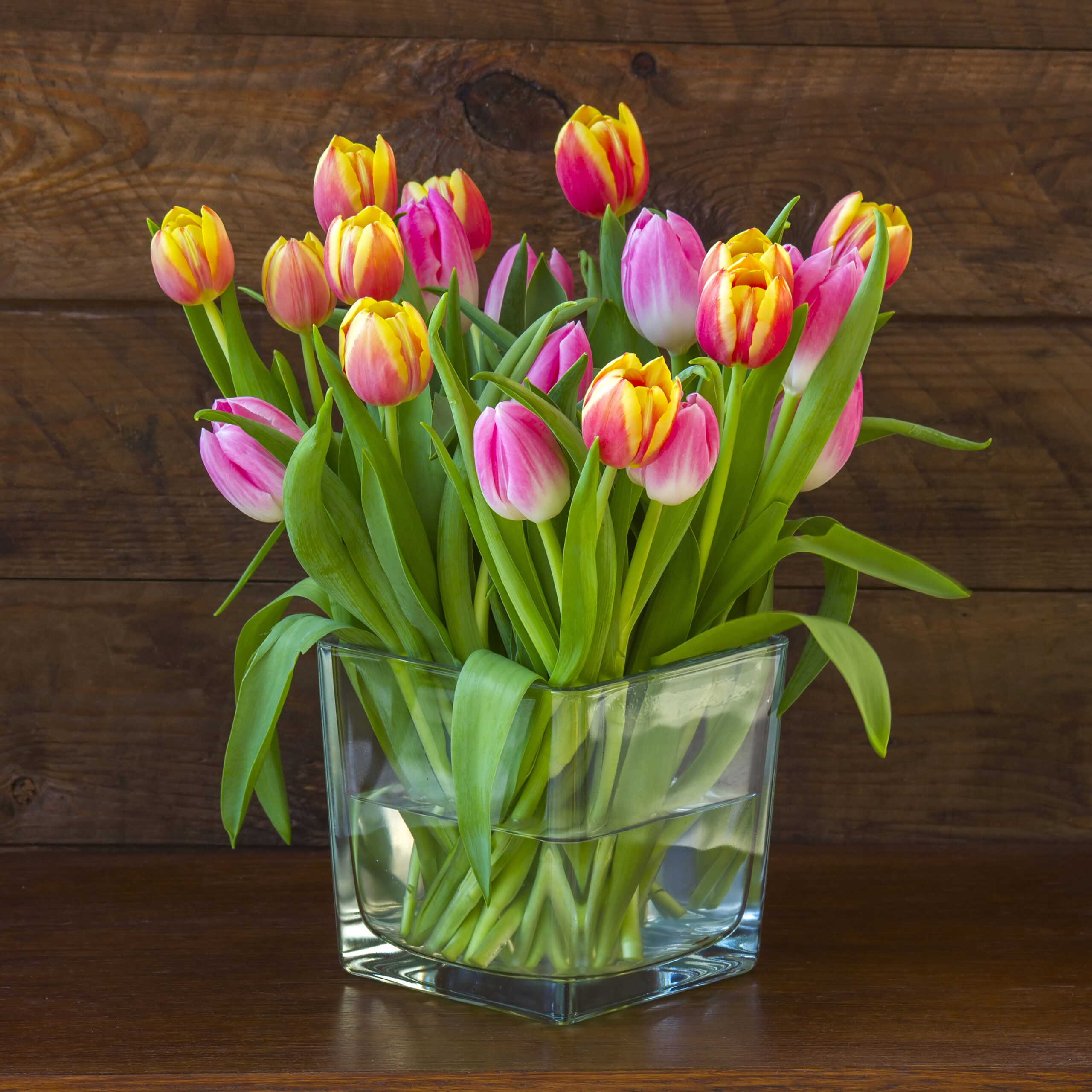 Így marad sokáig gyönyörű a tulipán a vázában