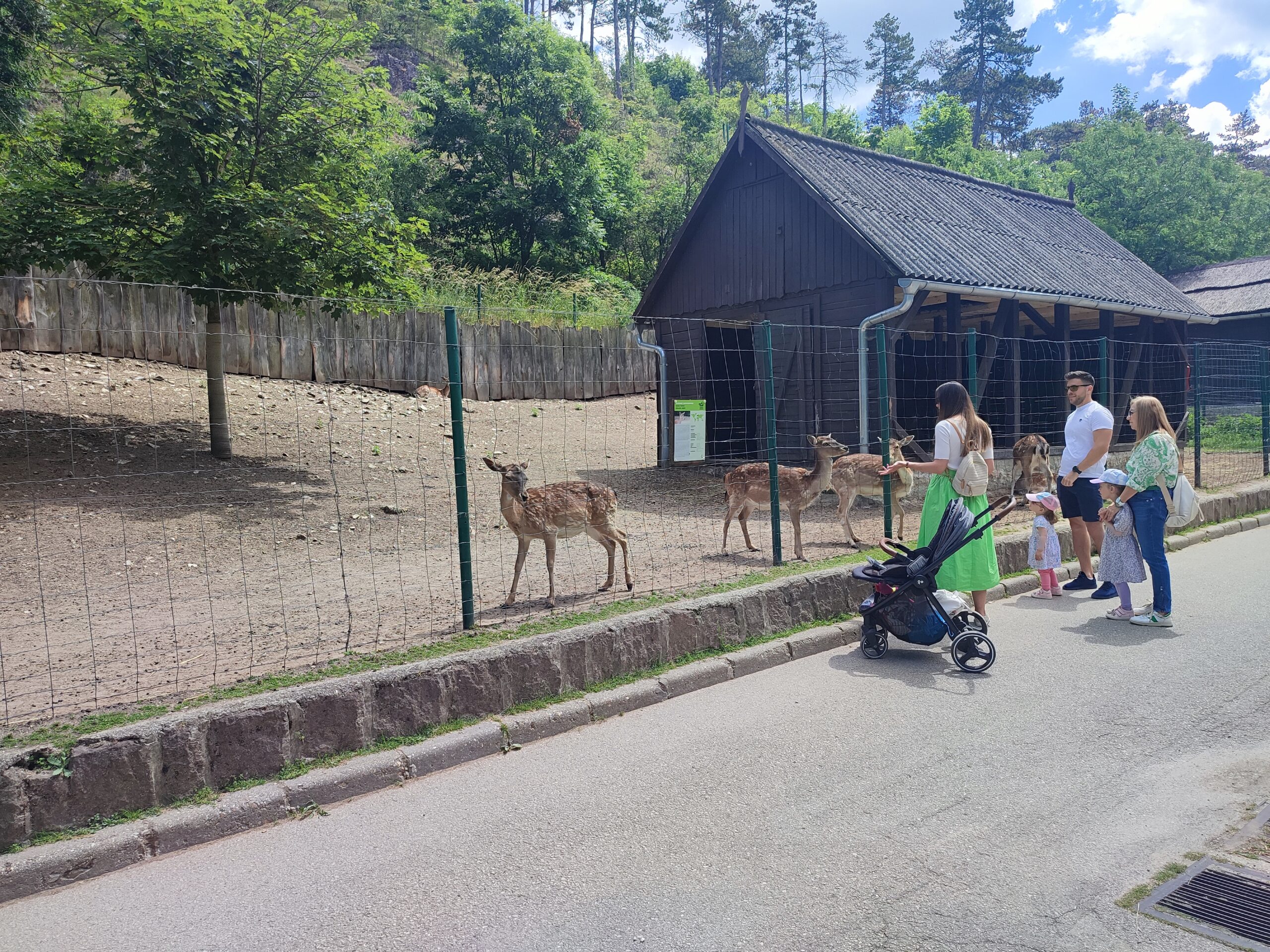 Lefáraszthatatlan gyerekkel is szuper program a veszprémi állatkert