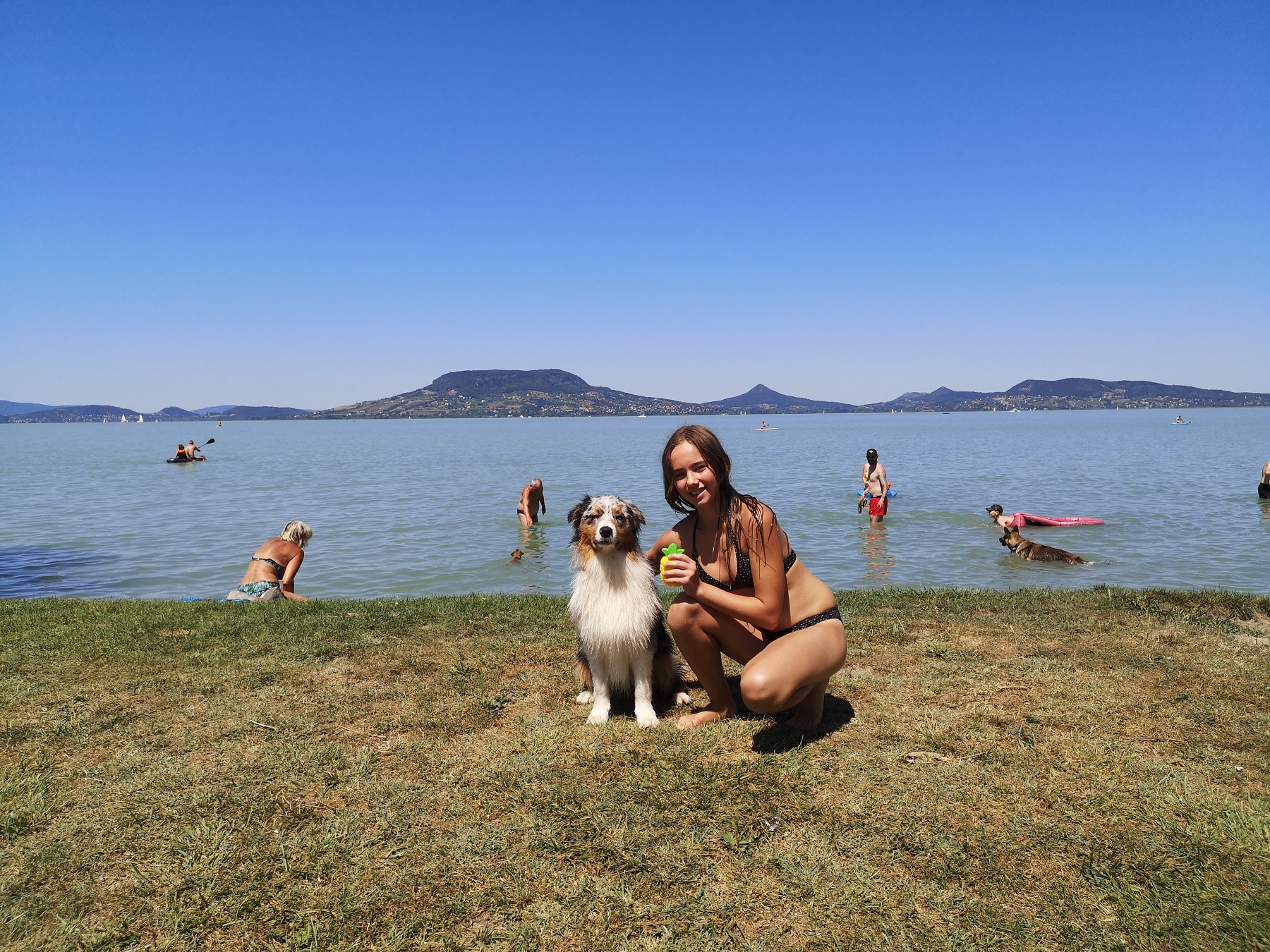 Saját strandon hűsölnek Fonyódon a kutyák